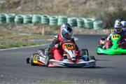 DSC (1153)